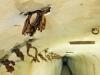 Ingekorven vleermuizen in het fort van Oelegem (copyright: provincie Antwerpen - Vilda, Yves Adams)